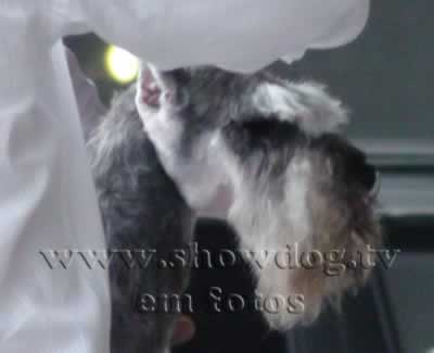 Clique sobre a foto para fechar